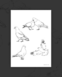 ‚PIGEONS‘ PRINT