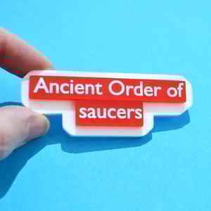 Image of Random Phrase Brooches Group 11