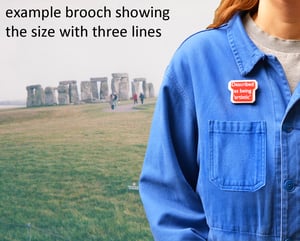 Image of Random Phrase Brooches Group 12