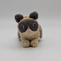 Big Grumpy Cat