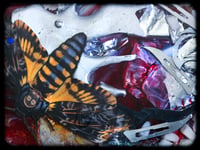 Image 4 of XXX TrinKet DisH