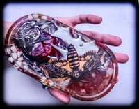 Image 3 of XXX TrinKet DisH