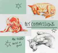 pet portrait commissions