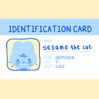 Image 4 of sesame the cat❄️ plushie