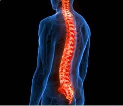 BONE-ACTIV TOPICAL RUB OIL (Bones/Joints). Bone Density-Skeletal System. 