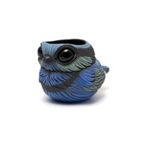 Image 2 of Kotori Ochoko: Splendid Fairywren