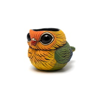 Image 2 of Kotori Ochoko: Fischer's Lovebird