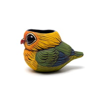 Image 1 of Kotori Ochoko: Fischer's Lovebird