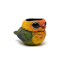 Image 4 of Kotori Ochoko: Fischer's Lovebird