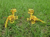 Image 1 of Gold Skeleton Raptor
