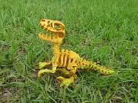 Image 2 of Gold Skeleton Raptor