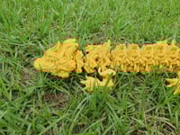 Image 3 of XL Gold Storm Dragon 