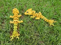 Image 2 of Gold Baby Storm Dragon