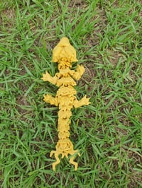 Image 3 of Gold Baby Storm Dragon