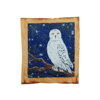 The Owl