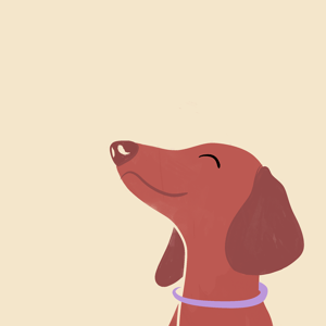 Doggie: Dachshund