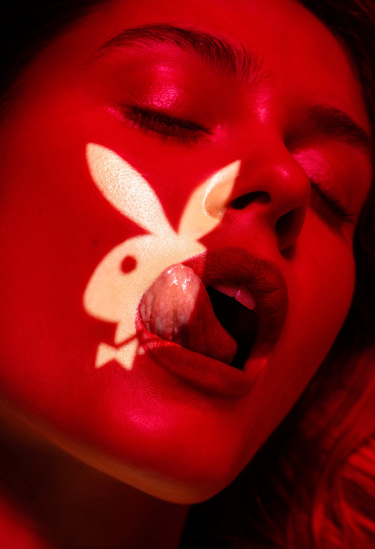 Image of Bunny Taste