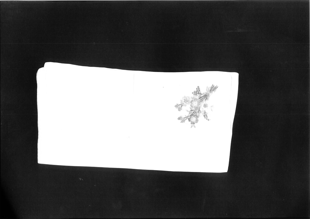 Amalia Pica, <i>Farewell (unique photocopies)</i>, 2009