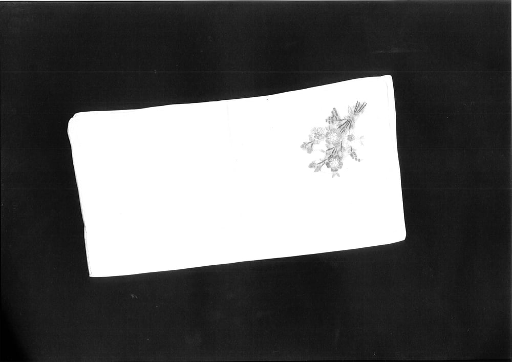 Amalia Pica, <i>Farewell (unique photocopies)</i>, 2009