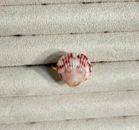 Image 16 of Shell Rings