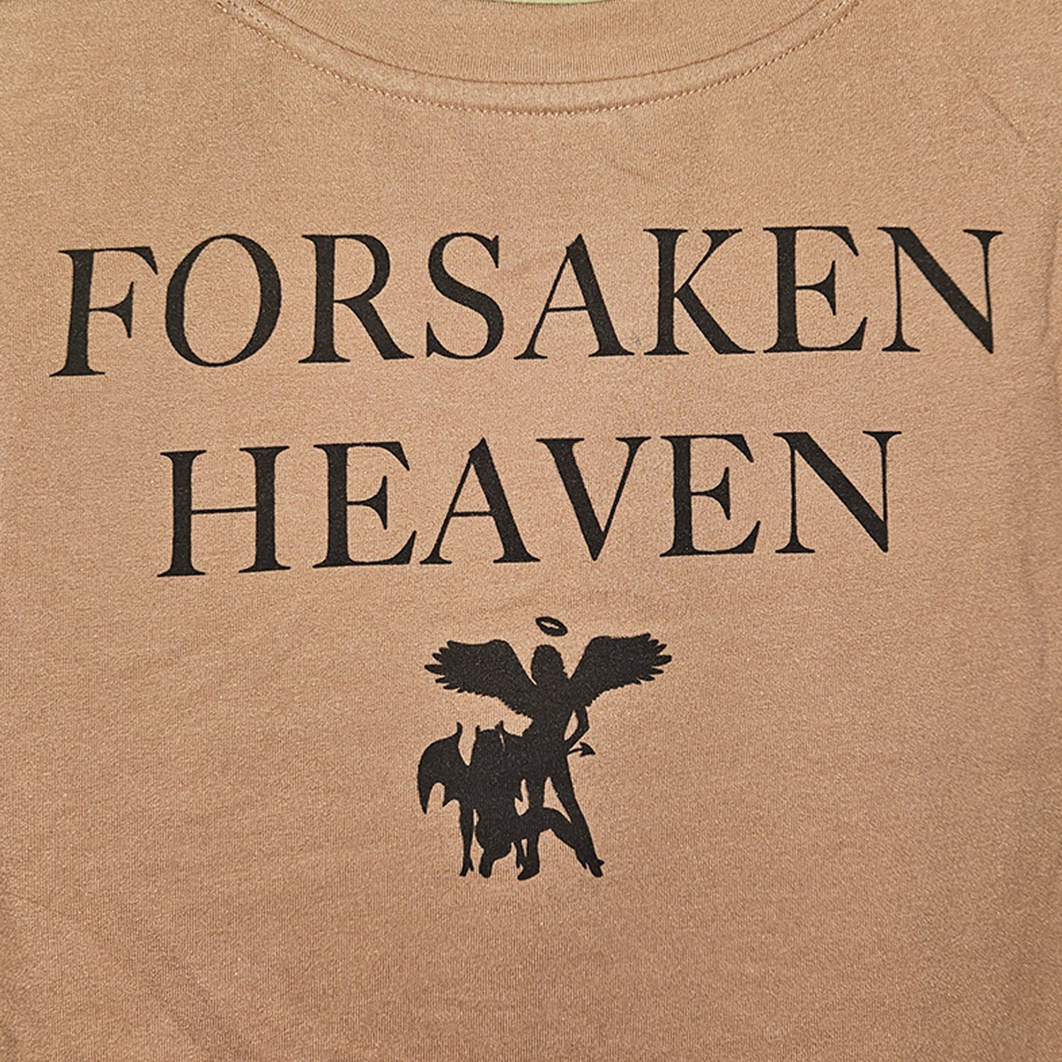 Image of forsaken heaven (small)