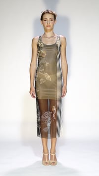 Image 1 of DRESS ESOTHIC