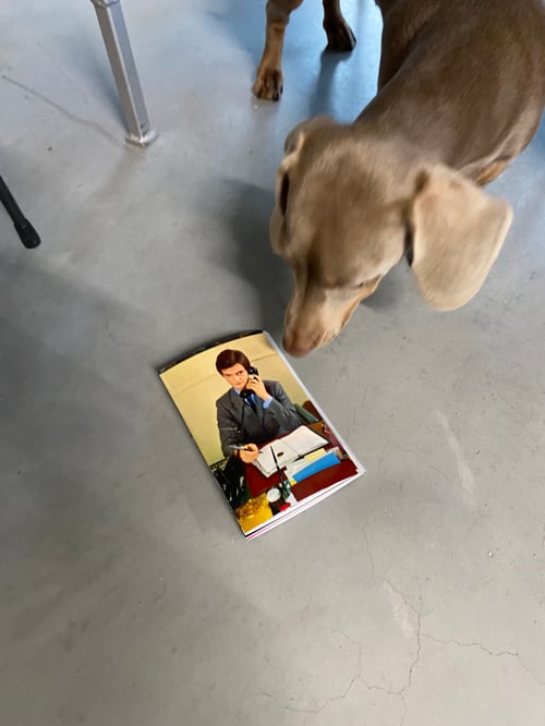 Image of Au téléphone.... - leporello