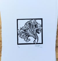 Image 1 of Chanterelle Lino Print