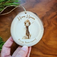 Image 1 of Rigby Holiday Ornament