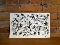Peonies 1