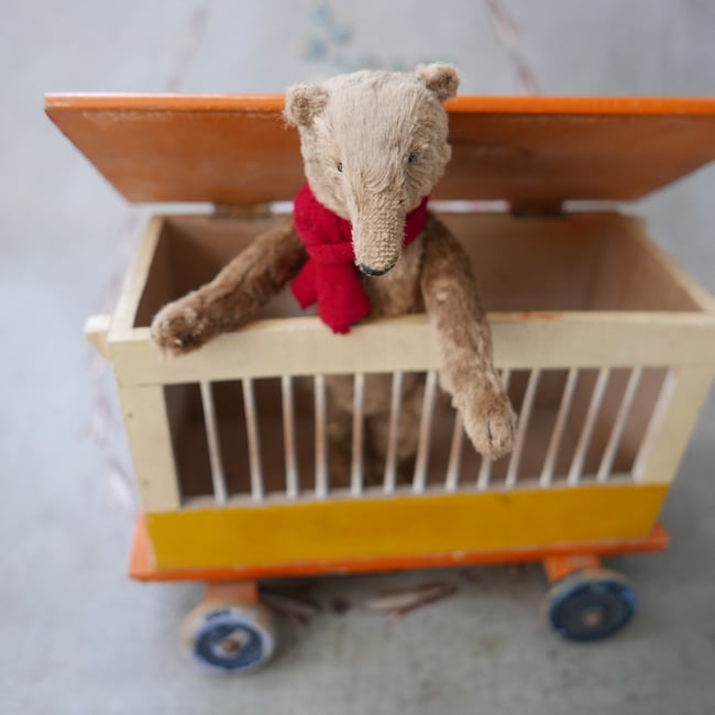 Marmaduke, a long-nosed bear