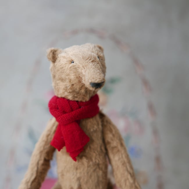 Marmaduke, a long-nosed bear