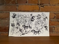 Peonies 2 