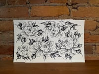Peonies 3 