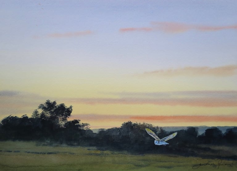 Image of Barn owl on a June evening 