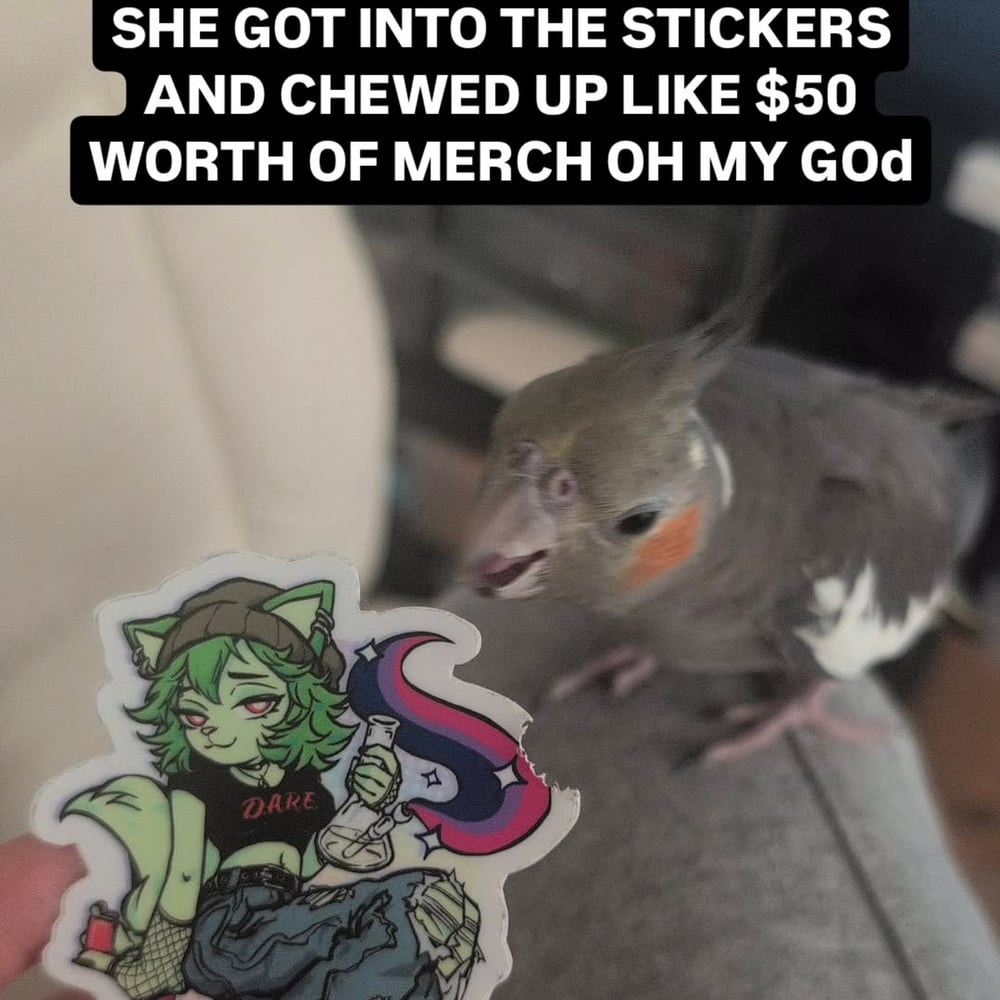 discounted bird chewed merch :(