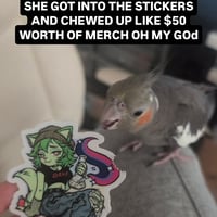 Image 1 of discounted bird chewed merch :(