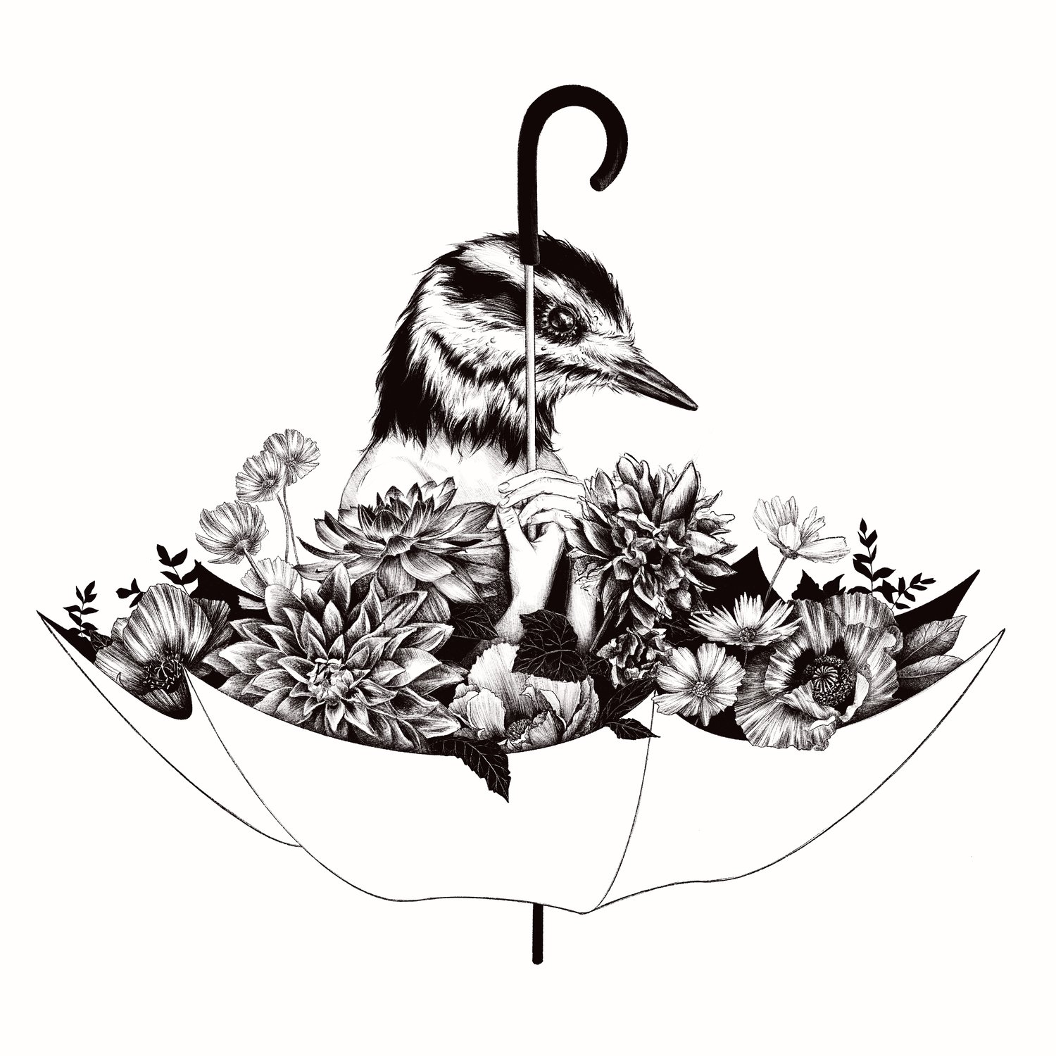 Image of Résilience - TIRAGE FINE ART