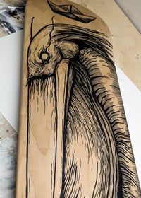 Image of Pelican