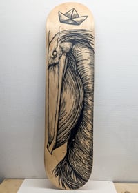 Image of Pelican