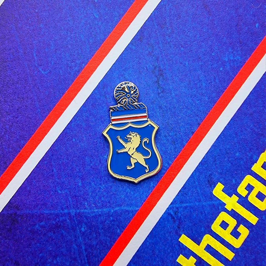 Image of Ribbon Shield Pin - FREE P&P