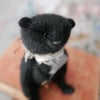 Piers, a little black bear