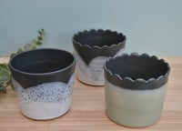 Image 1 of Small Plant Pot