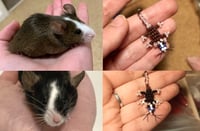 limited CUSTOM mouse/rat charms! (read description<3)