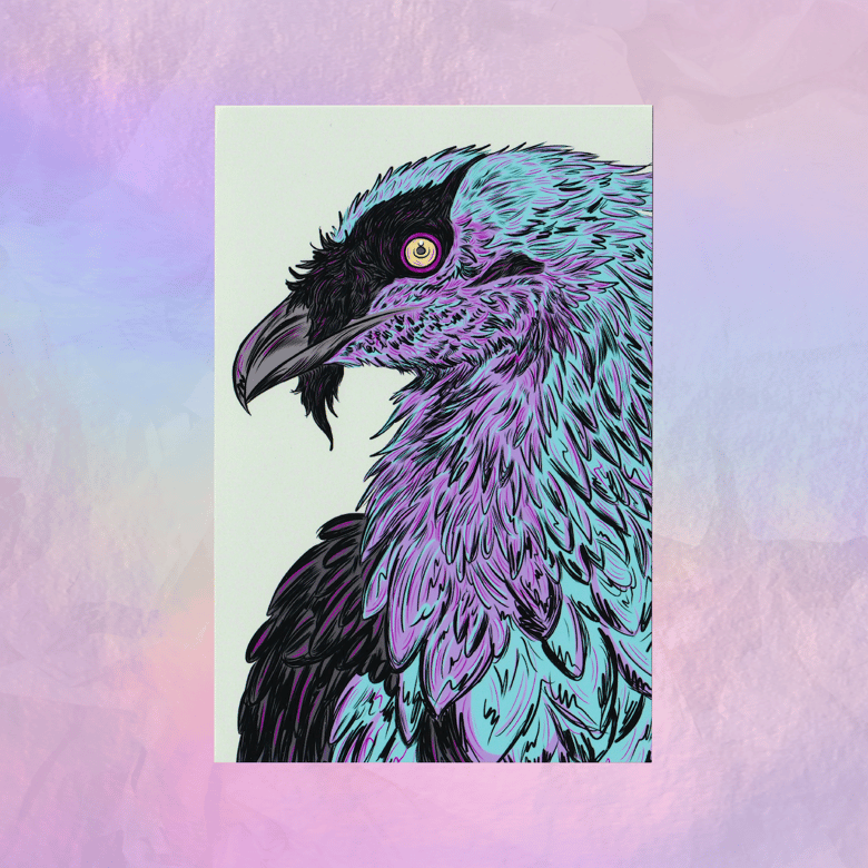 Image of Bearded Vulture Print 4"x6"