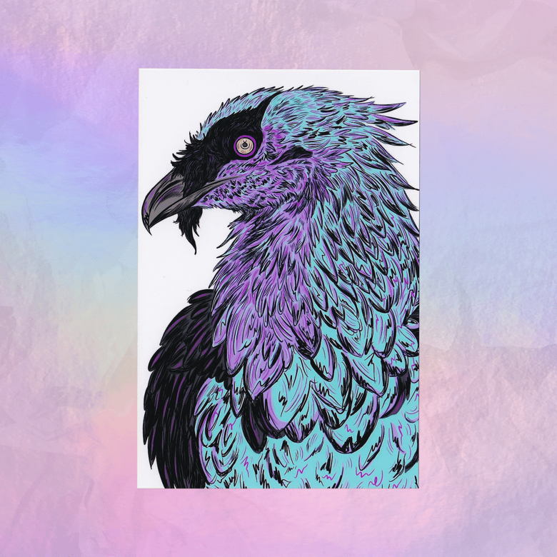 Image of Bearded Vulture Print 4"x6"