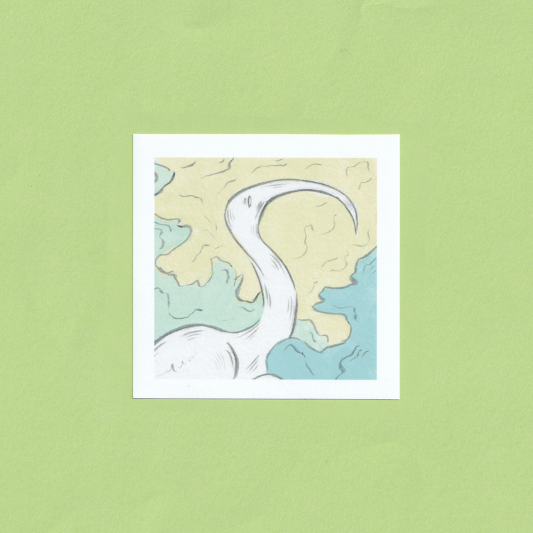 Image of Ibis Mini Prints 4"x4"