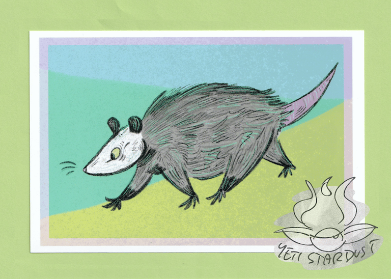 Image of Opossum Pal Print 4"x6"