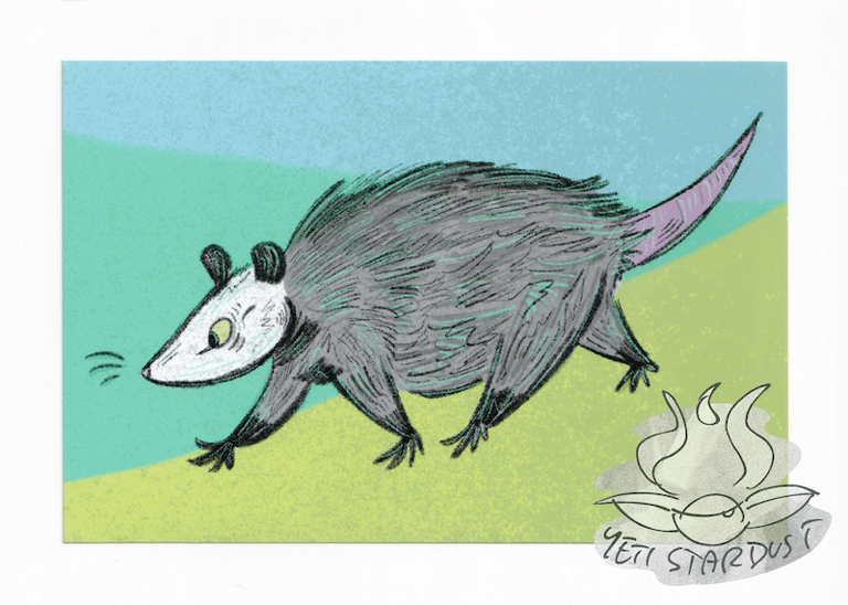 Image of Opossum Pal Print 4"x6"