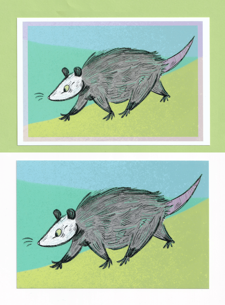 Image of Opossum Pal Print 4"x6"